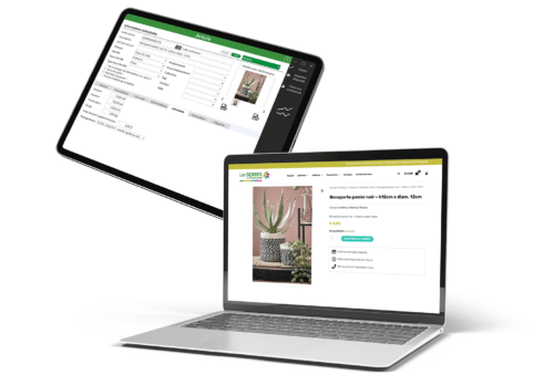 Exemple d'écran article du logiciel de caisse NetBee